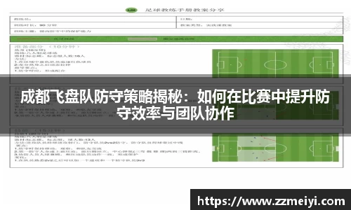 成都飞盘队防守策略揭秘：如何在比赛中提升防守效率与团队协作